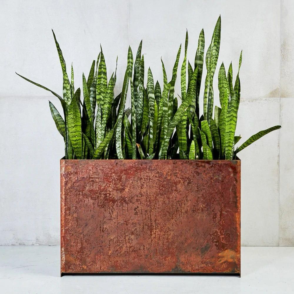 Korten çelikten üretilmiş dış mekan planter saksı, zamanla oluşan doğal patinasıyla bahçelere ve verandalara rustik bir estetik kazandırır.