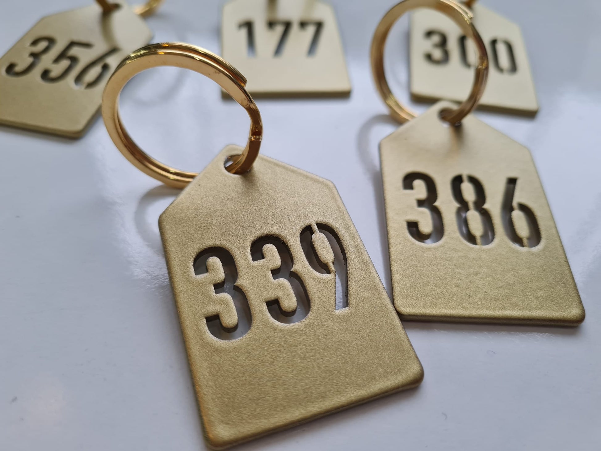 Uzun ömürlü metal numaralık anahtarlık modeli